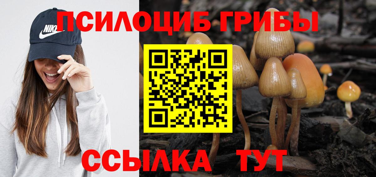 Галлюциногенные грибы мицелий  Вход с VPN  Жуковский  Псилоцибиновые грибы Psilocybe 