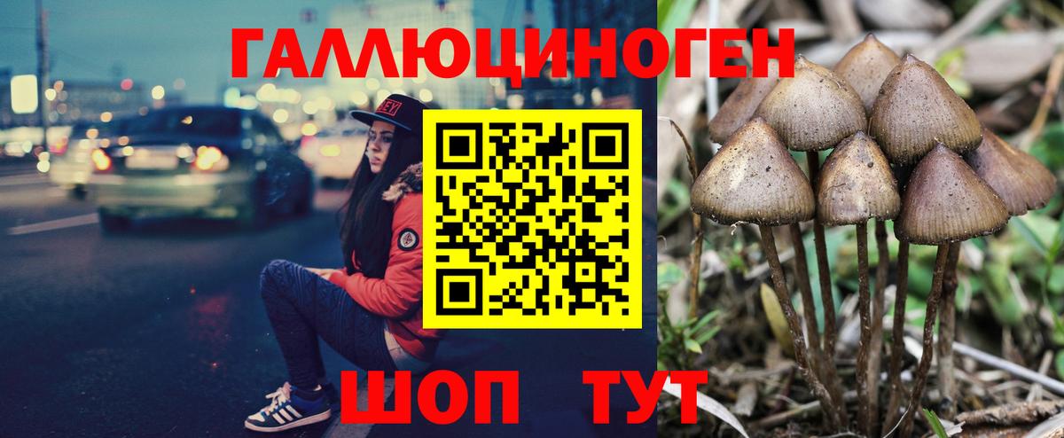 Псилоцибиновые грибы MAGIC MUSHROOMS Жуковский